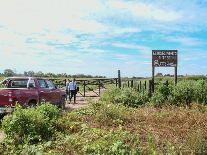 Fuerte operativo del Gobierno provincial para proteger tierras fiscales y bosques nativos