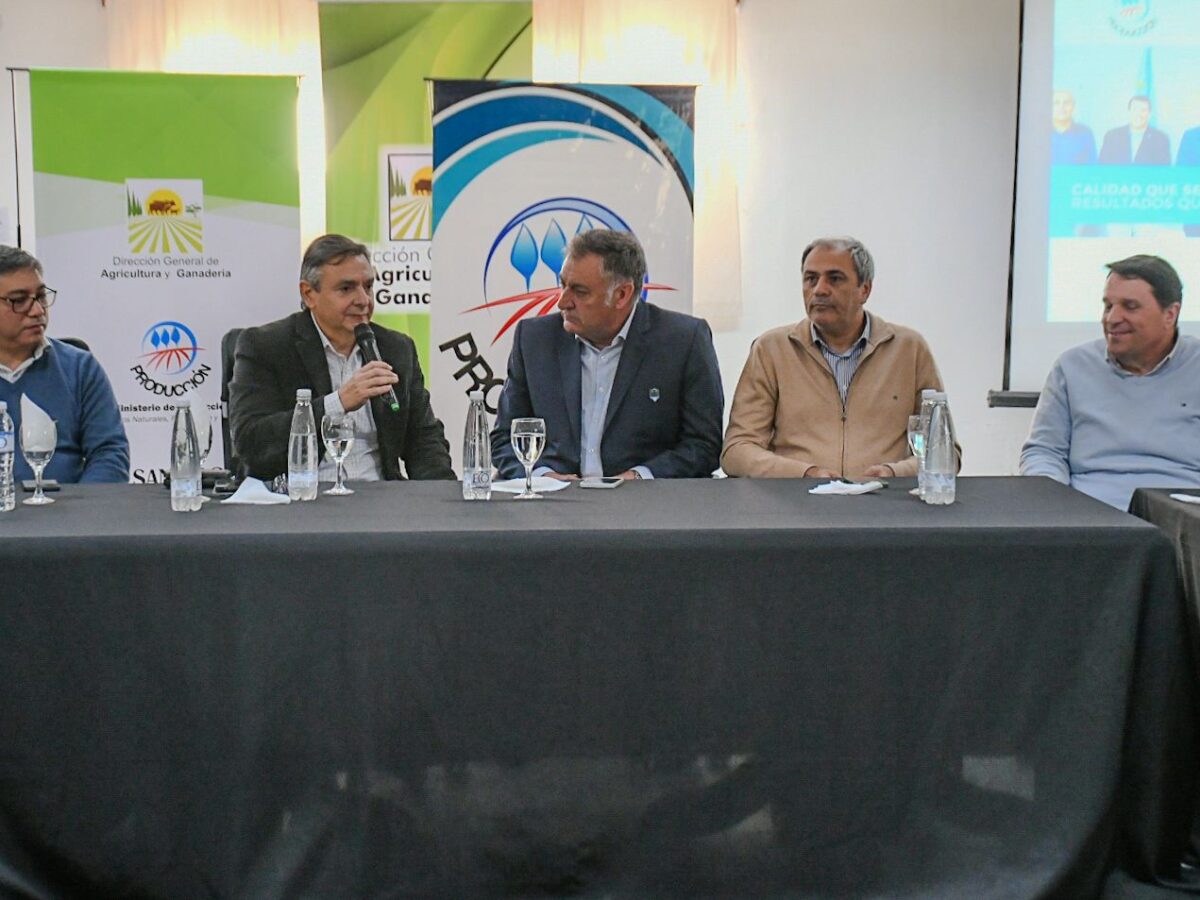 Santiago del Estero fortalece el desarrollo porcino con una mesa de trabajo junto a Nación