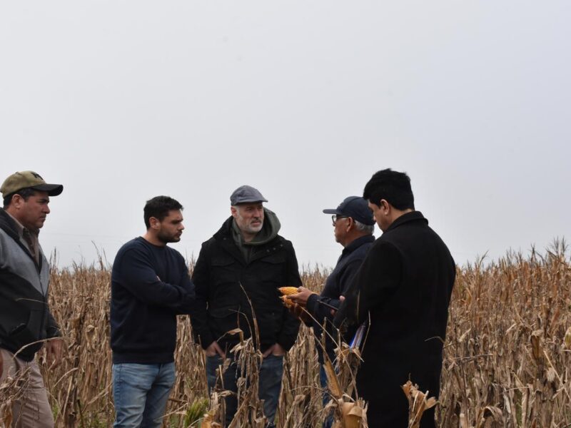 El Gobierno provincial con nuevos  operativos en el norte santiagueño ejecuta embargos y secuestra cosechas ilegales
