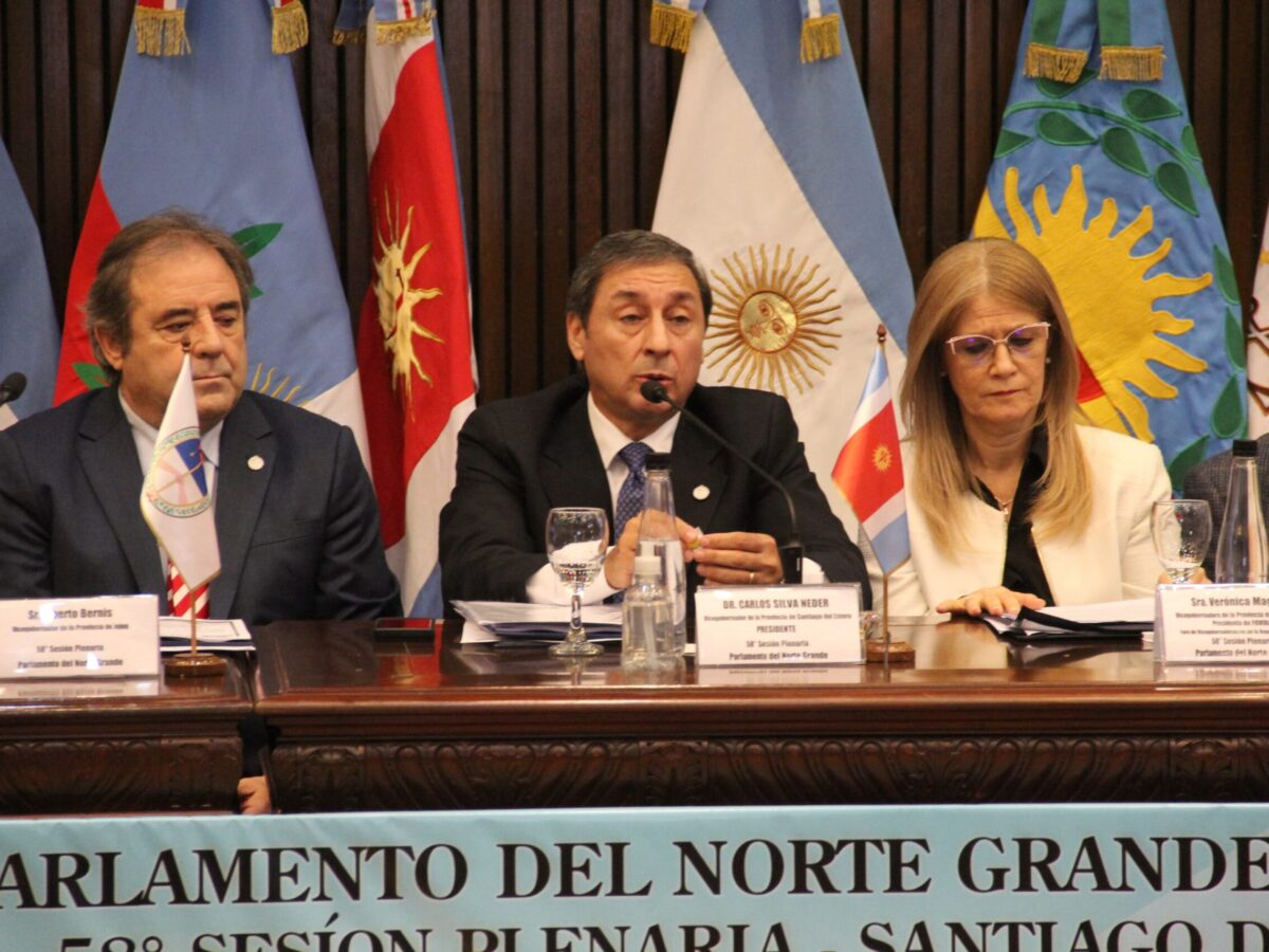 Silva Neder: “Sin Norte Grande no hay Nación, porque el federalismo no se declama, sino se ejerce con presupuesto, con obra y con trabajo”
