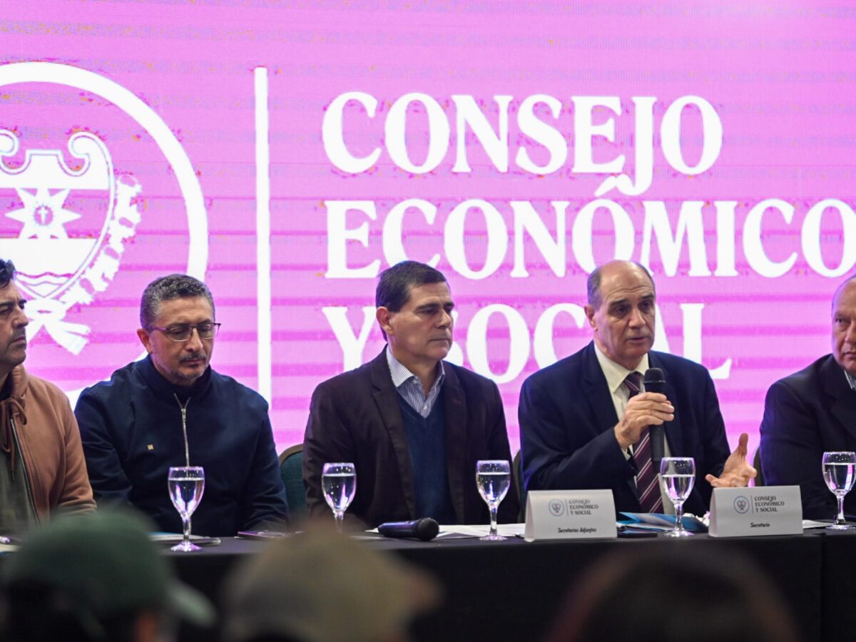 El Consejo Económico y Social de la Provincia se reunió con el sector de la agricultura familiar y la economía social