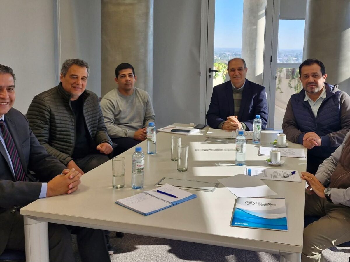El Consejo Económico y la industria maderera avanzan en diálogos para optimizar recursos del sector