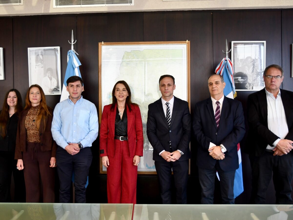 Gobierno y el Colegio de Psicólogos trabajan en pos de la comunidad