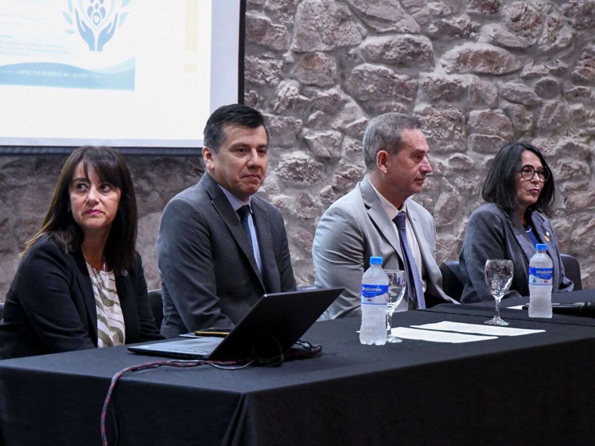 El Ministerio de Salud organizó una jornada provincial para promover la prevención de quemaduras